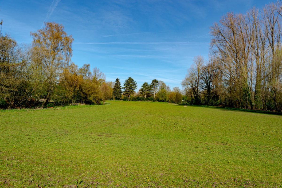 Top terrains woodsball en France - classement vérifié