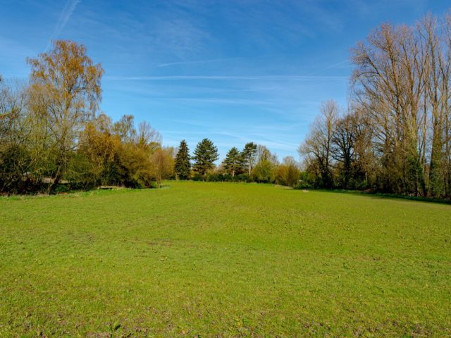 Top terrains woodsball en France – classement vérifié