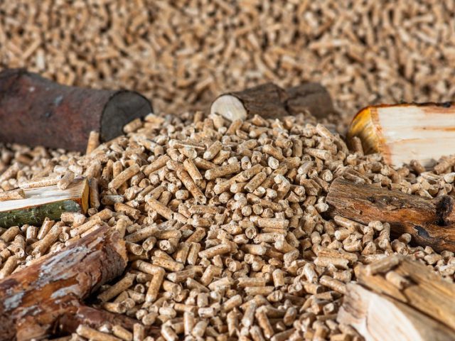 Comparatif billes biodegradables vs standard pour paintball