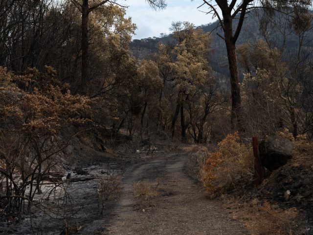 L’impact des incendies sur les activités de loisirs en plein air